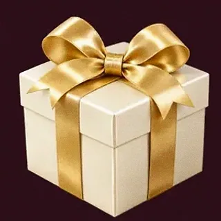 Wrapped gift box — Spinobon