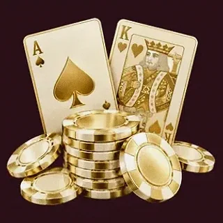 Poker playing cards — Spinobon